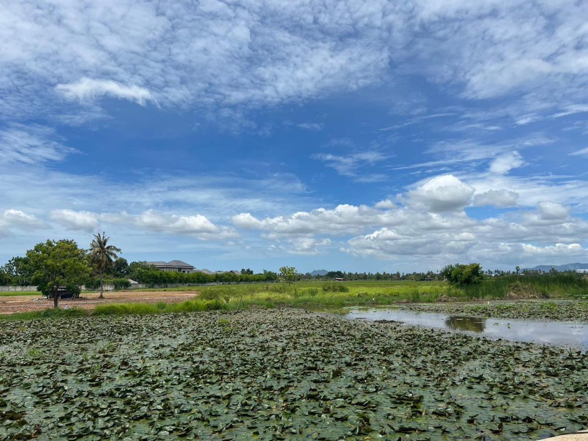On Green Resort Ban Huai Sua Екстериор снимка