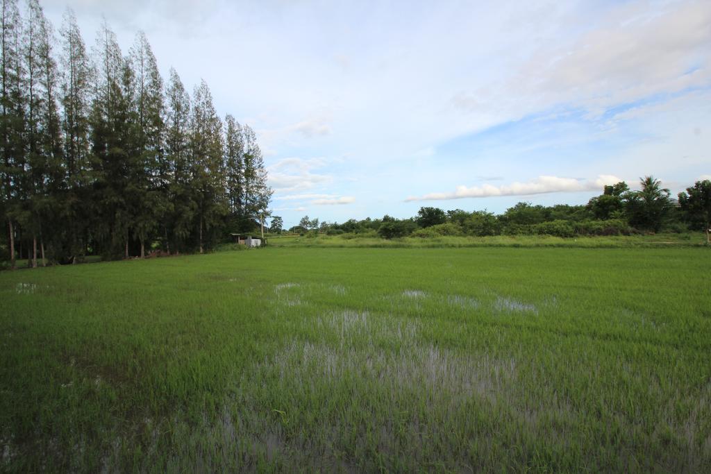 On Green Resort Ban Huai Sua Екстериор снимка